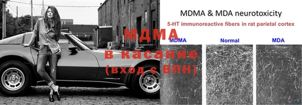 амф Покачи