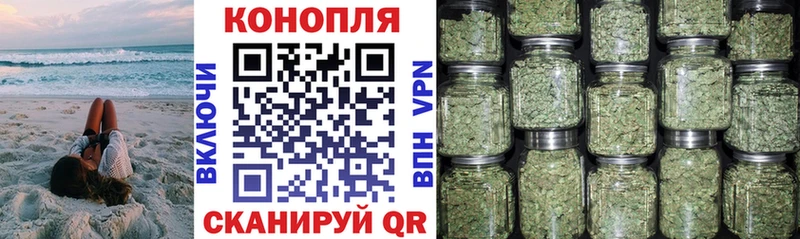 Конопля VHQ  mega как зайти  Пестово 